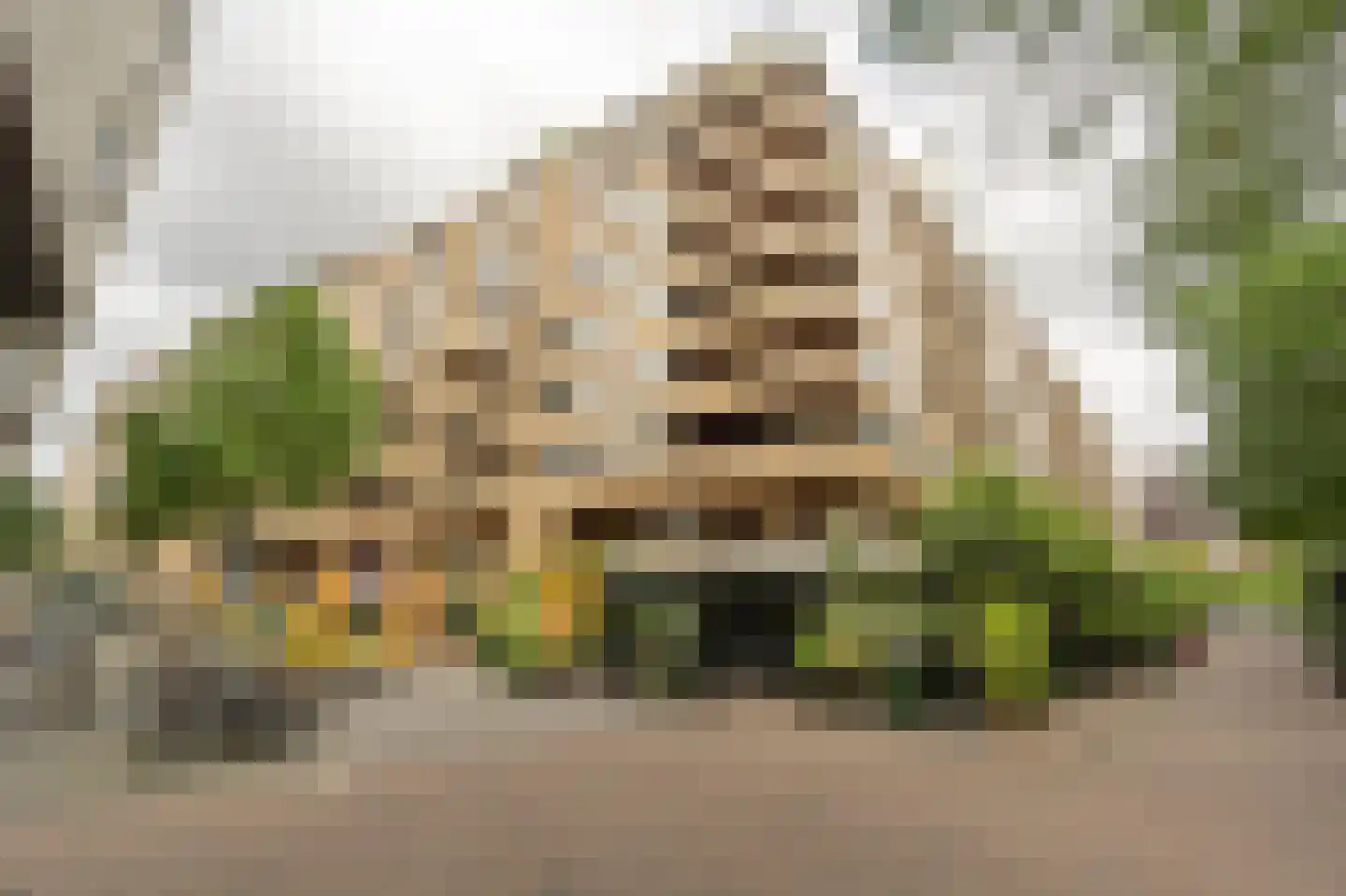 Oppert 116 Rotterdam thumbnail 31