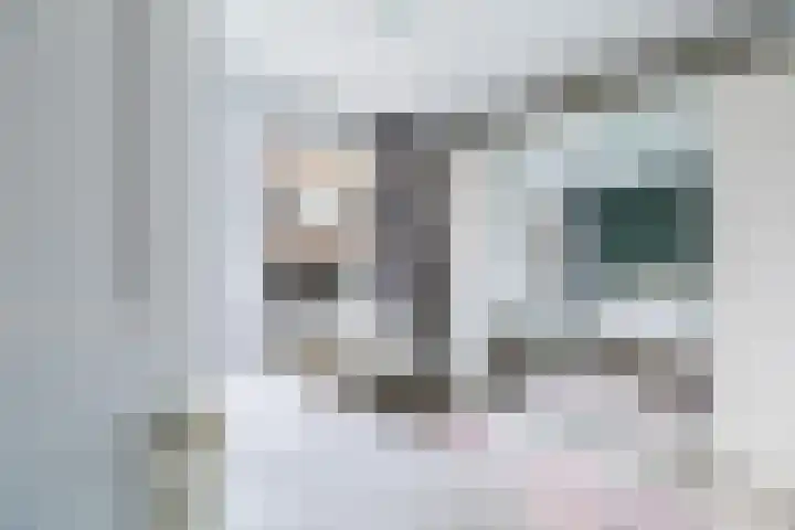 Oppert 15 C Rotterdam thumbnail 20