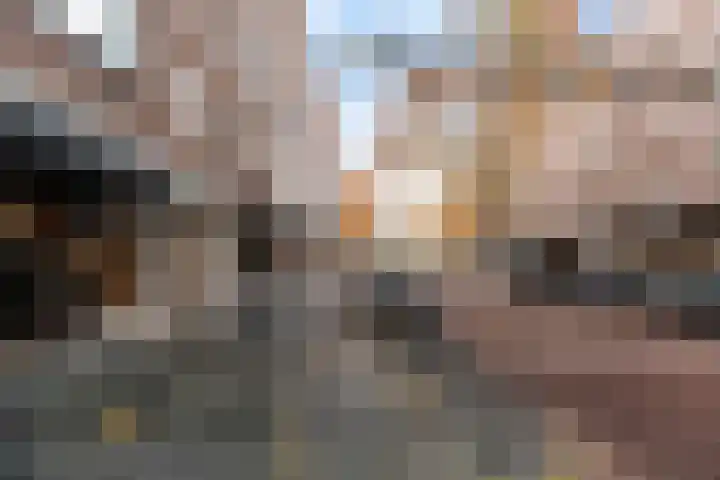 Oppert 15 C Rotterdam thumbnail 35
