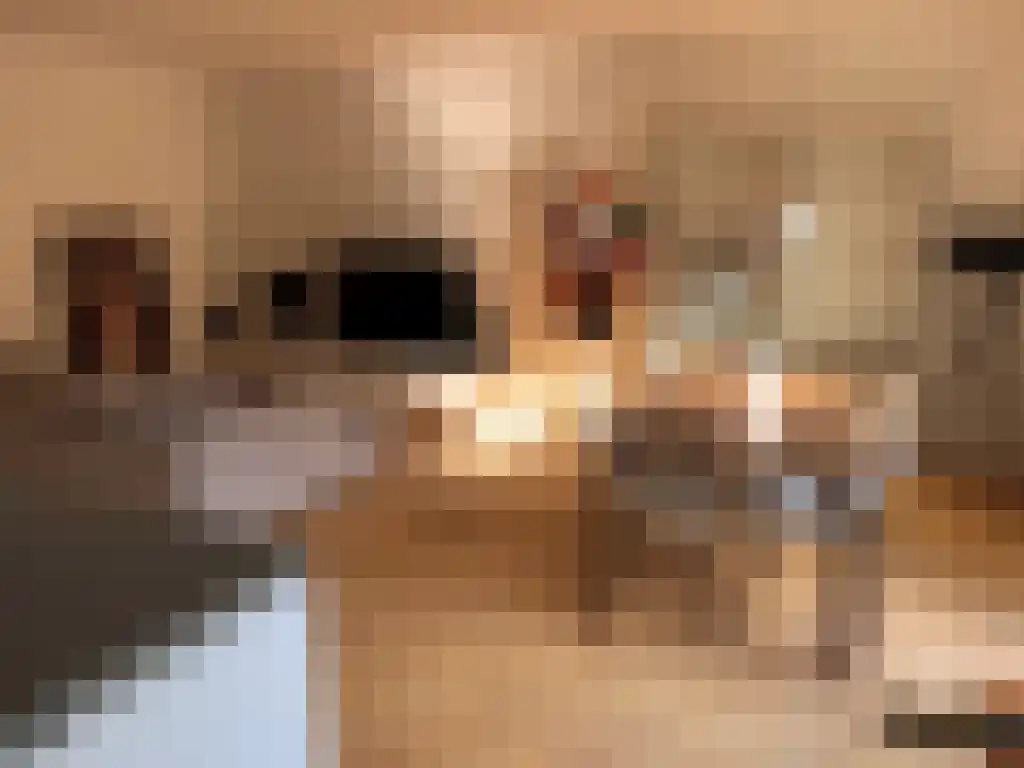 Oppert 158 Rotterdam thumbnail 5