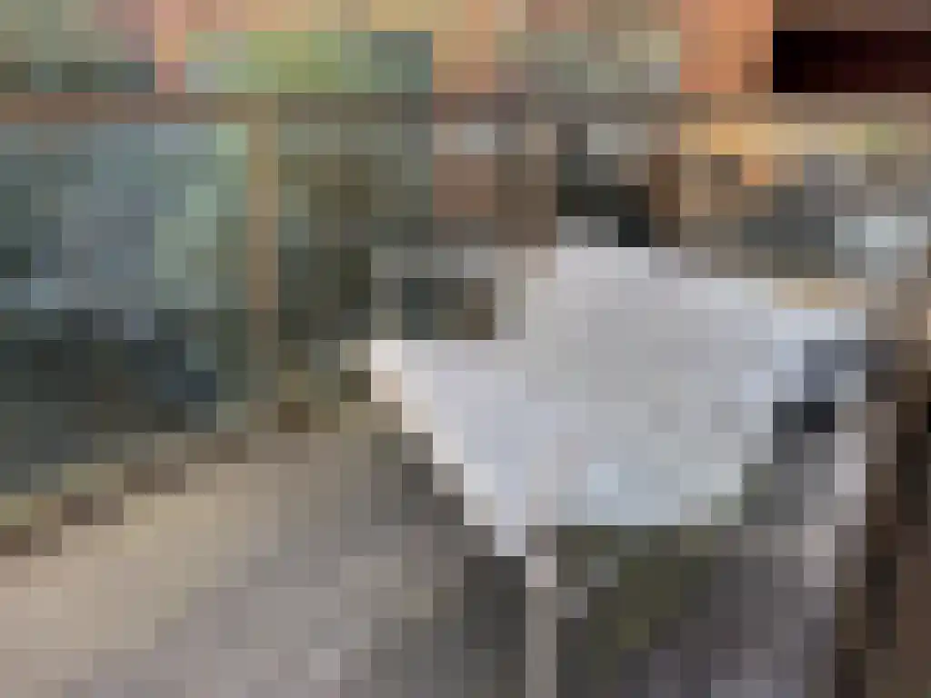 Oppert 158 Rotterdam thumbnail 6