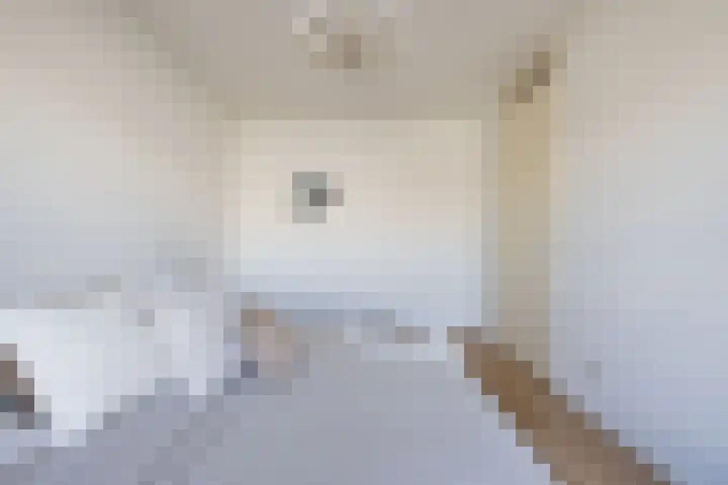 Oppert 162 Rotterdam thumbnail 12