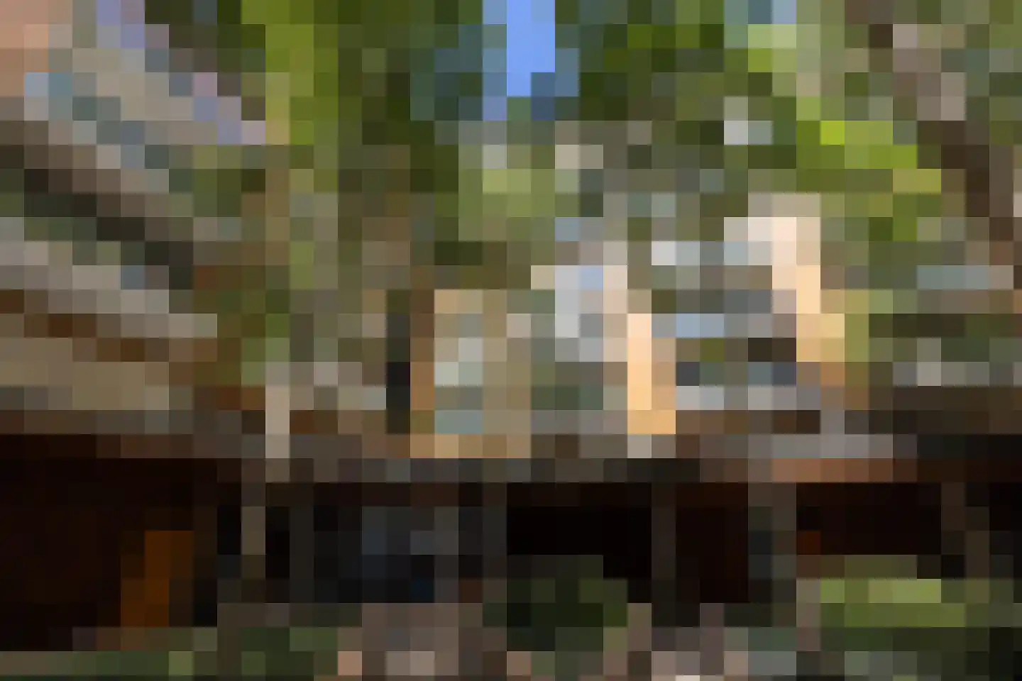 Oppert 162 Rotterdam thumbnail 22