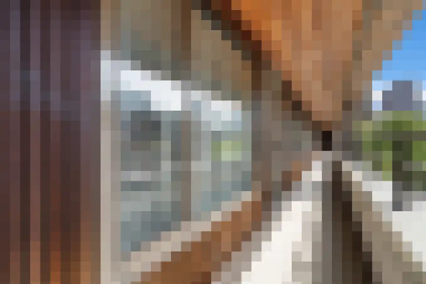 Oppert 172 Rotterdam thumbnail 16