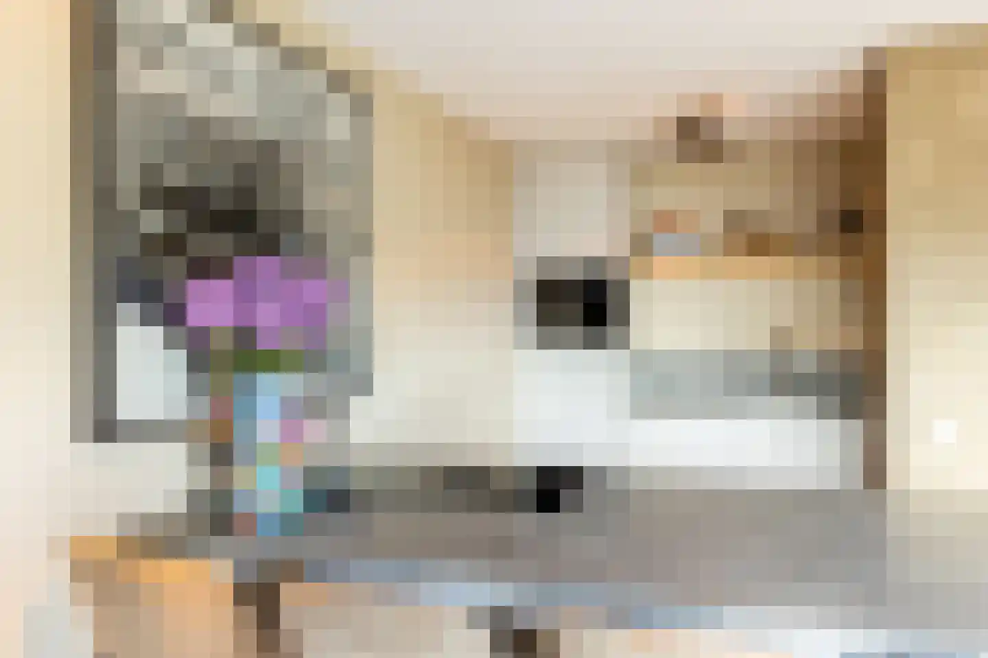 Oppert 186 Rotterdam thumbnail 17