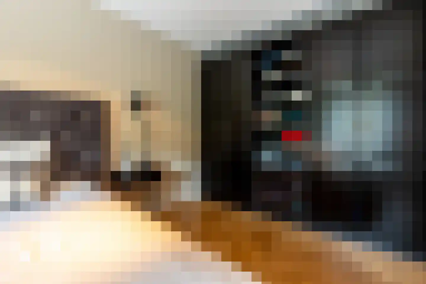 Oppert 186 Rotterdam thumbnail 23