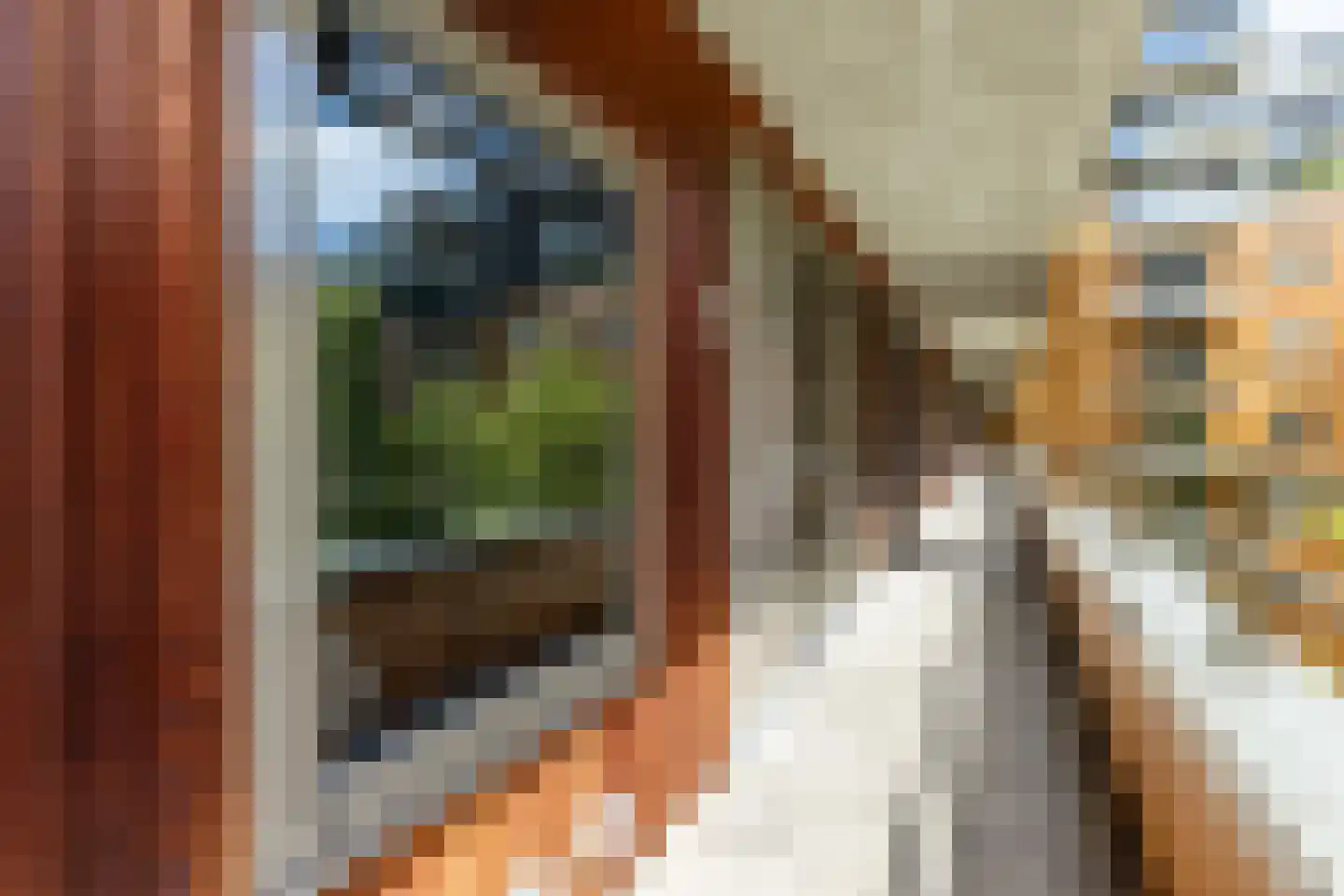 Oppert 186 Rotterdam thumbnail 29