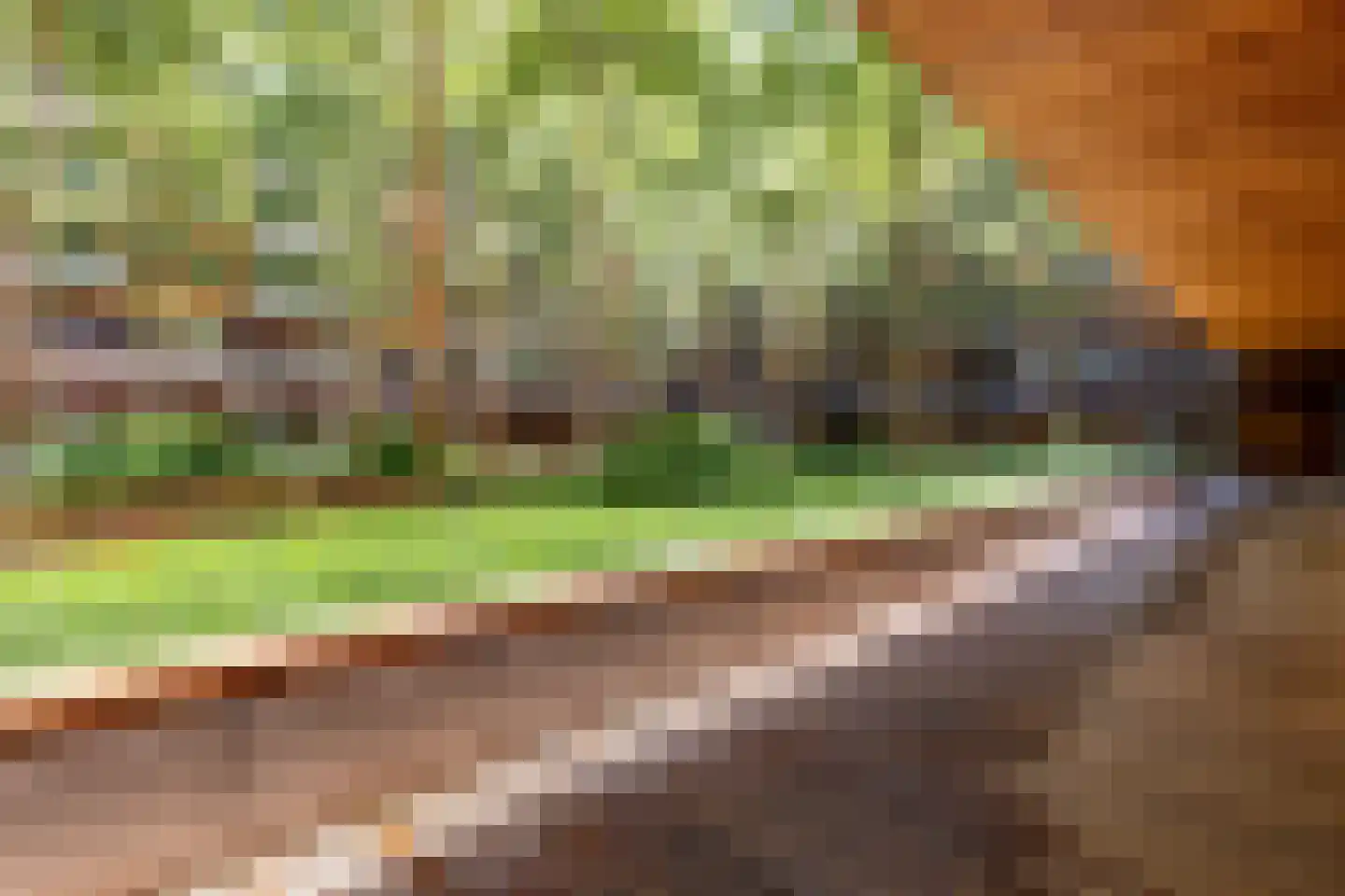 Oppert 186 Rotterdam thumbnail 31
