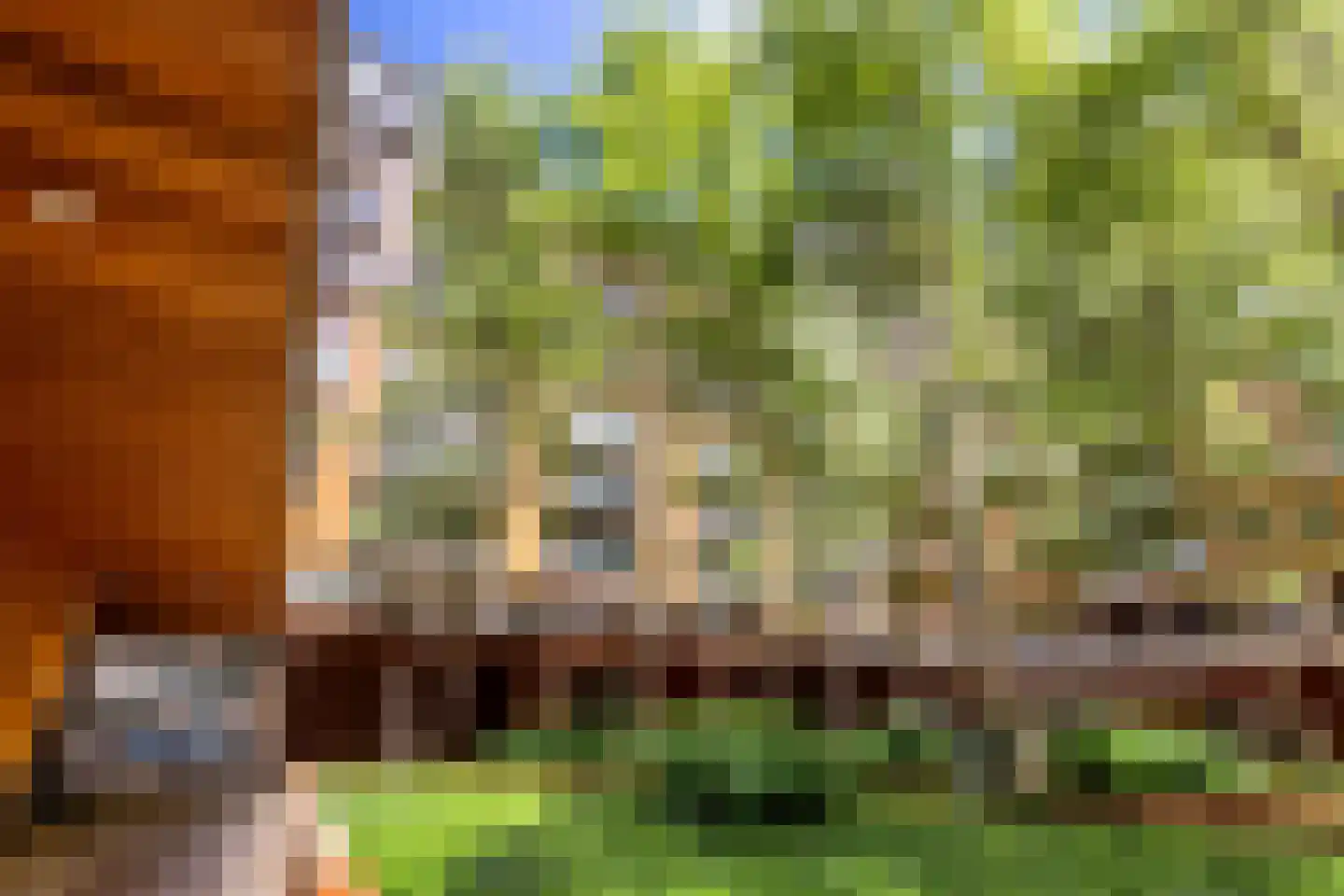 Oppert 186 Rotterdam thumbnail 6