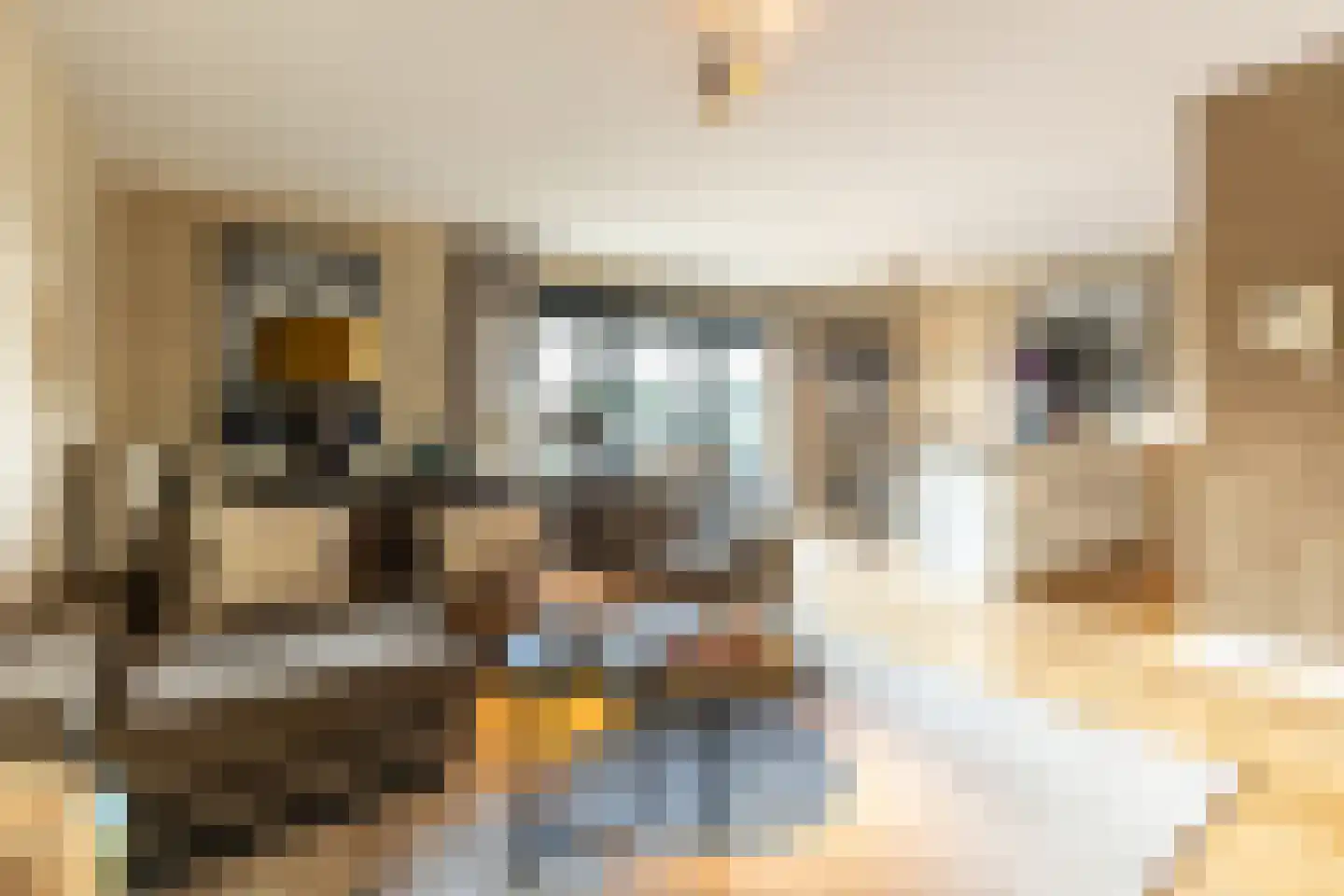 Oppert 186 Rotterdam thumbnail 8