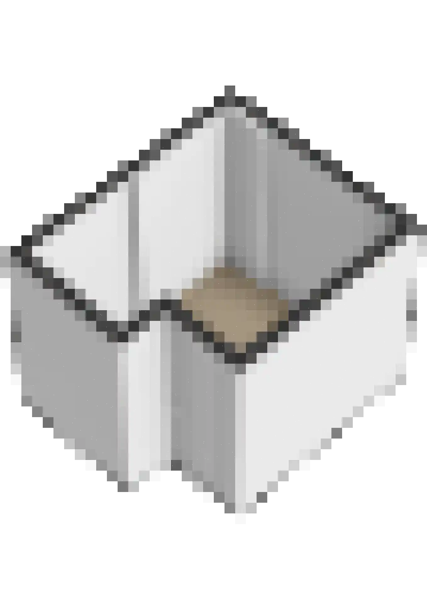 Oppert 2 C Rotterdam thumbnail 30