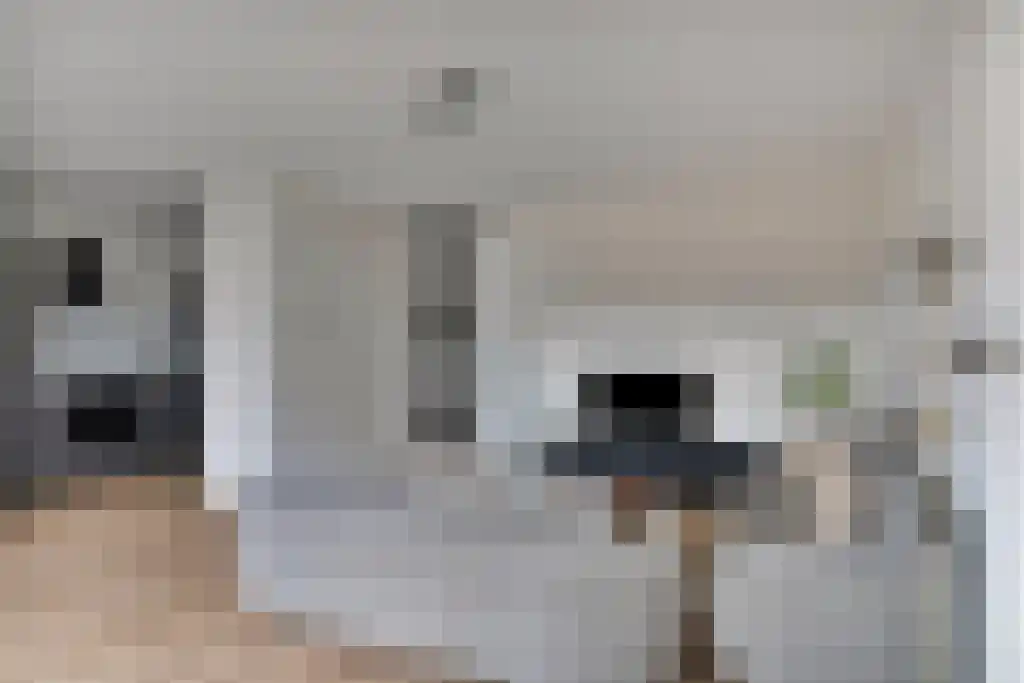 Oppert 200 Rotterdam thumbnail 6