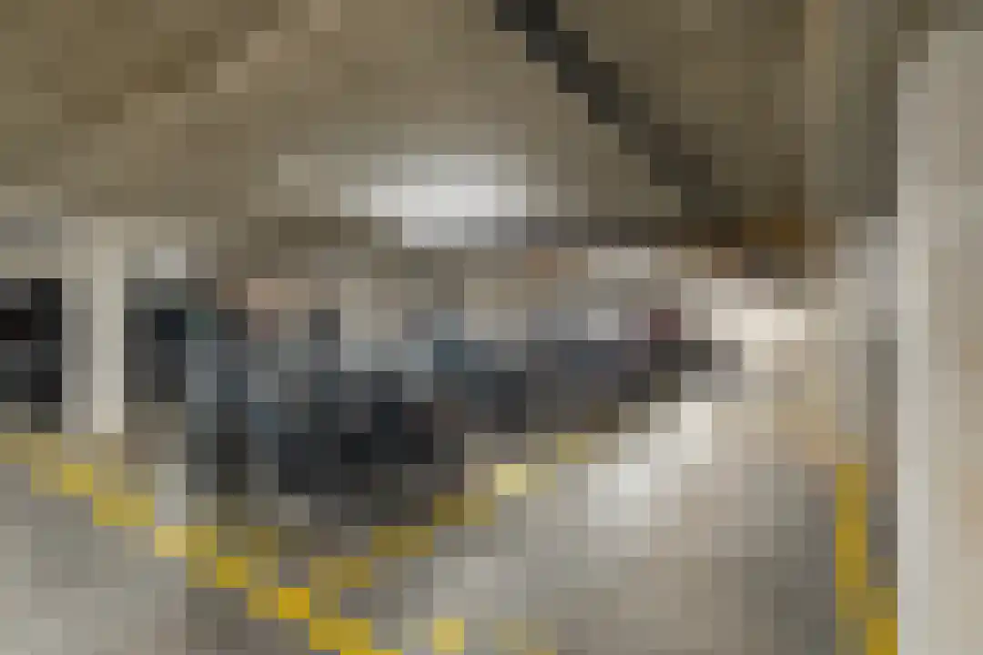 Oppert 210 Rotterdam thumbnail 23