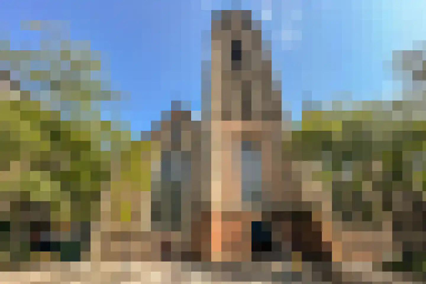 Oppert 210 Rotterdam thumbnail 27
