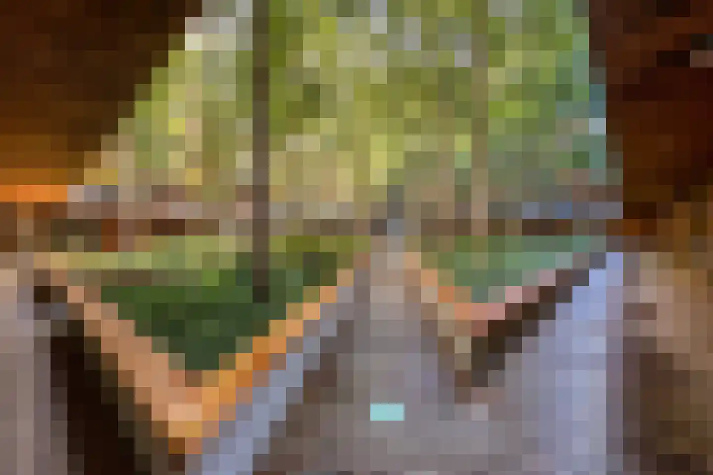 Oppert 210 Rotterdam thumbnail 5