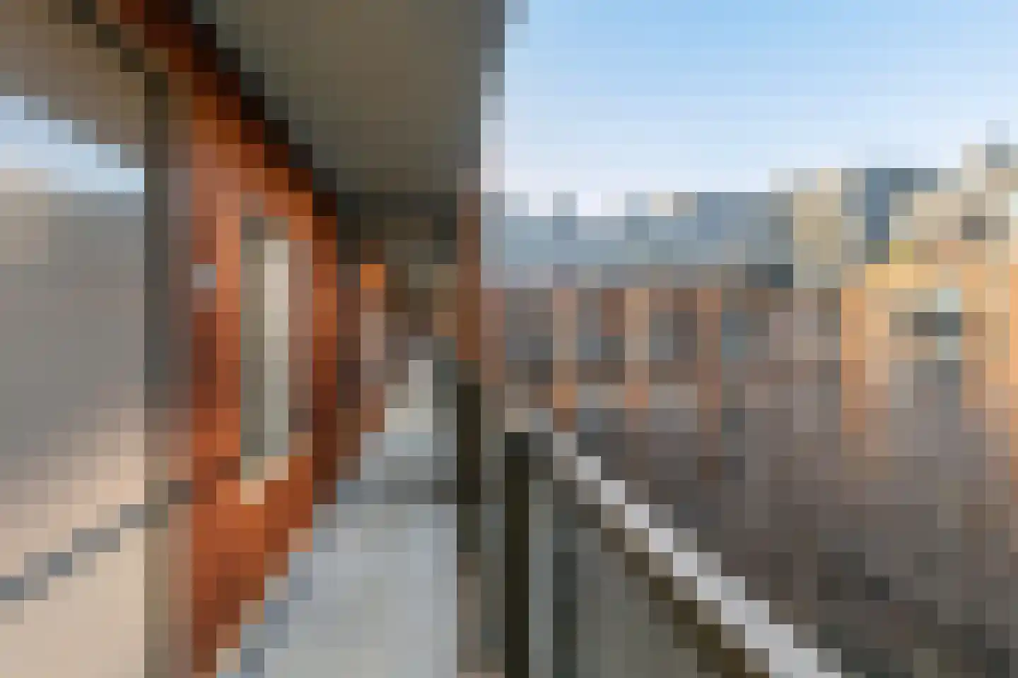 Oppert 230 Rotterdam thumbnail 6