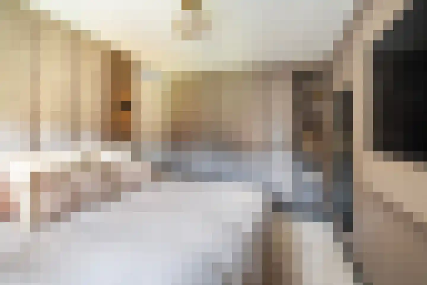 Oppert 240 Rotterdam thumbnail 26