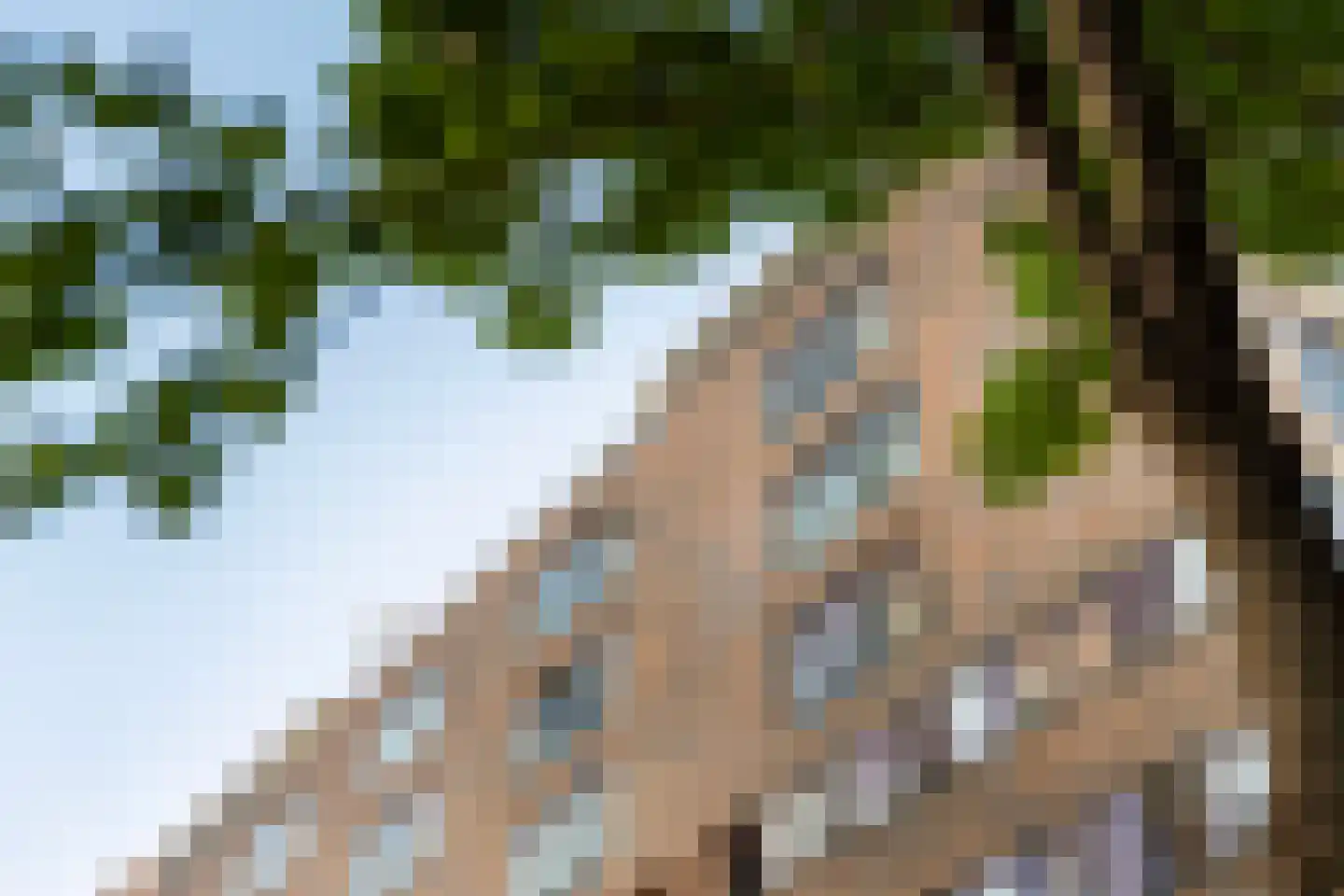 Oppert 240 Rotterdam thumbnail 5