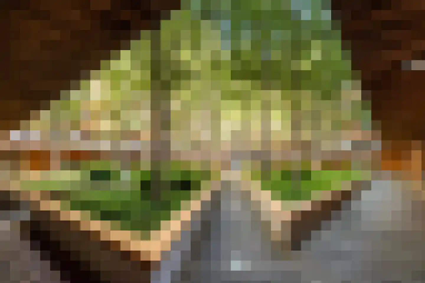 Oppert 240 Rotterdam thumbnail 8