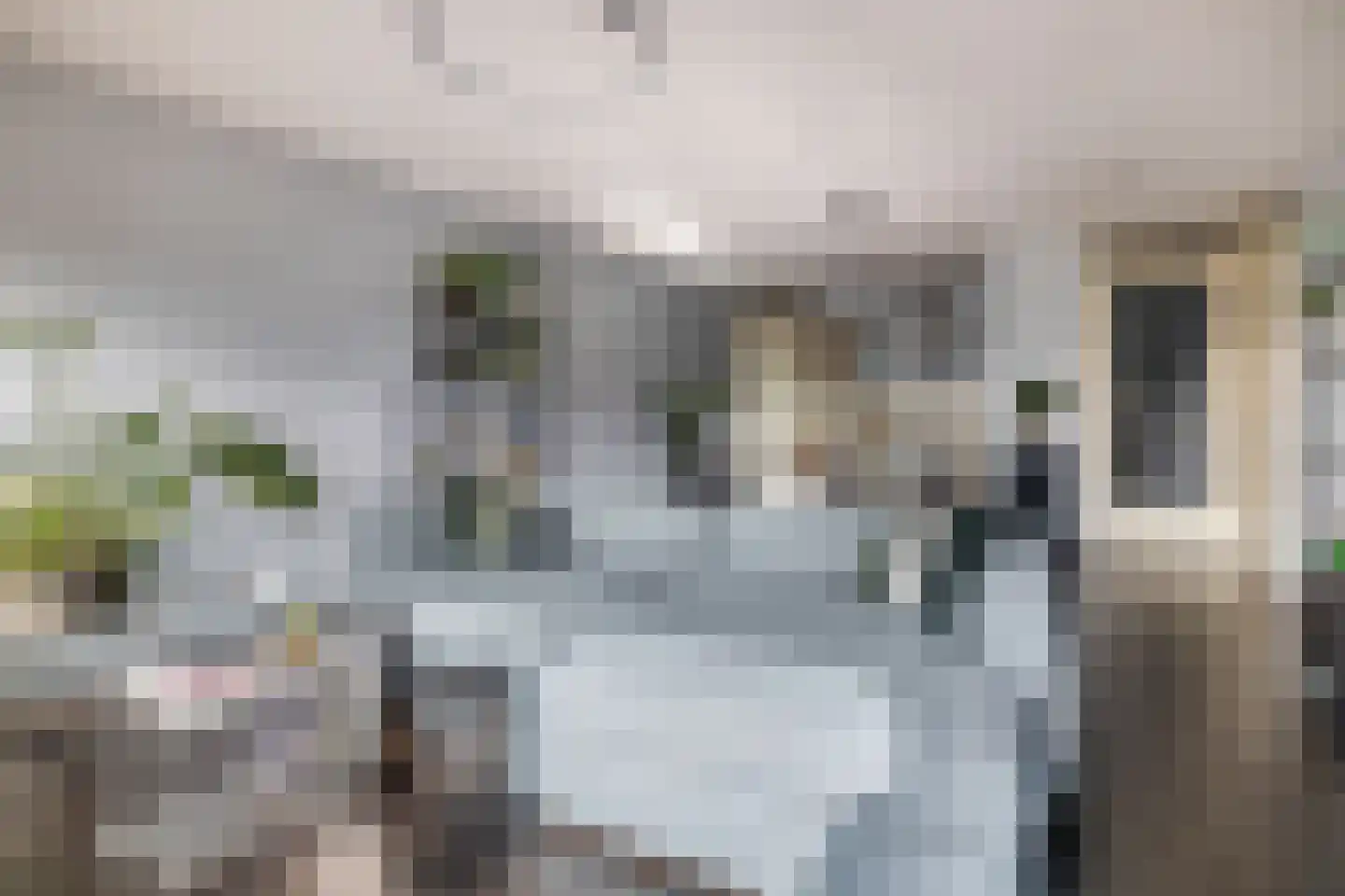 Oppert 244 Rotterdam thumbnail 15
