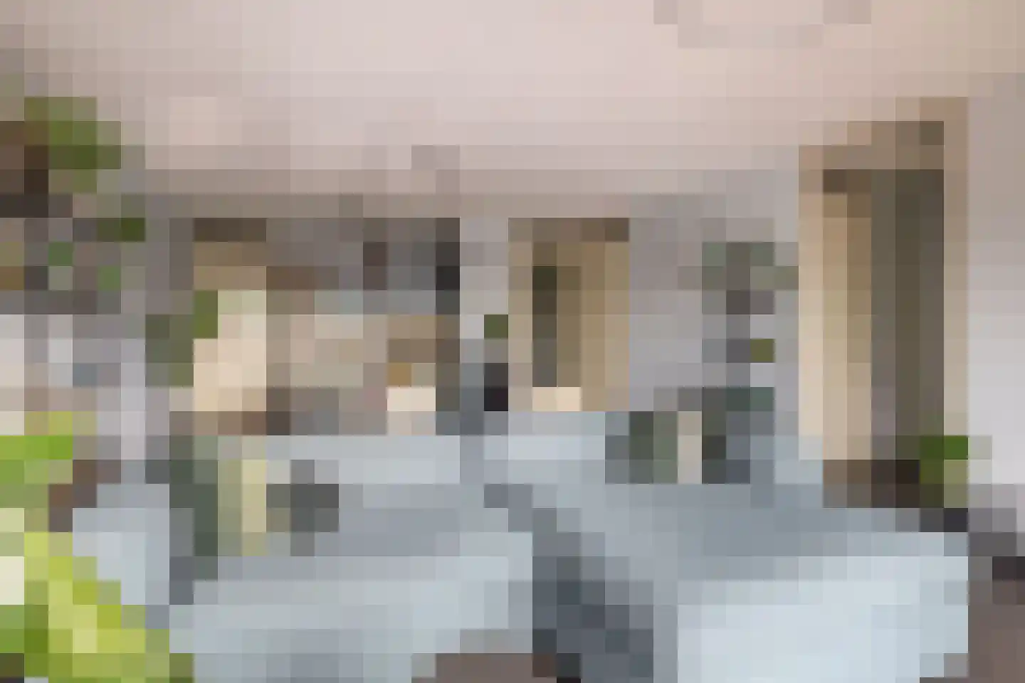 Oppert 244 Rotterdam thumbnail 16