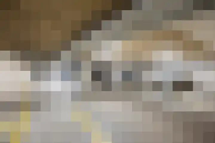 Oppert 244 Rotterdam thumbnail 25