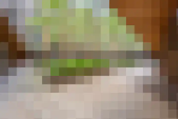 Oppert 244 Rotterdam thumbnail 27