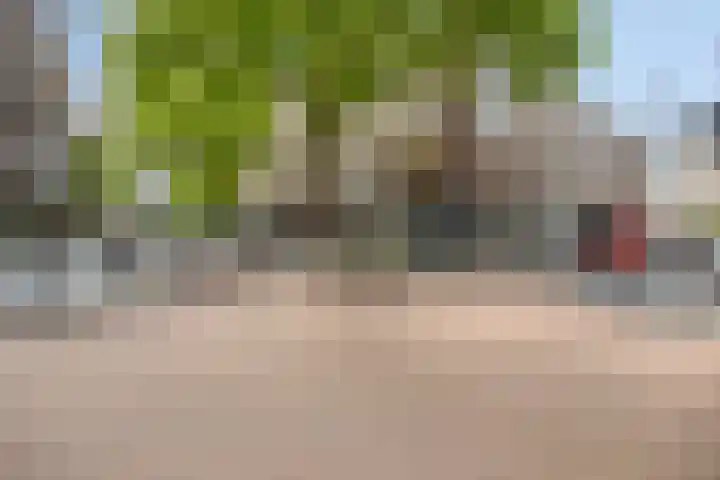 Oppert 244 Rotterdam thumbnail 31