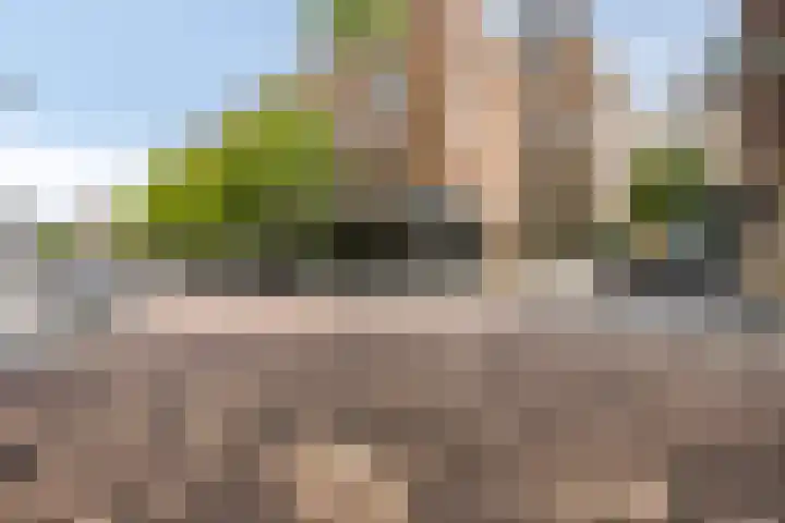 Oppert 244 Rotterdam thumbnail 32