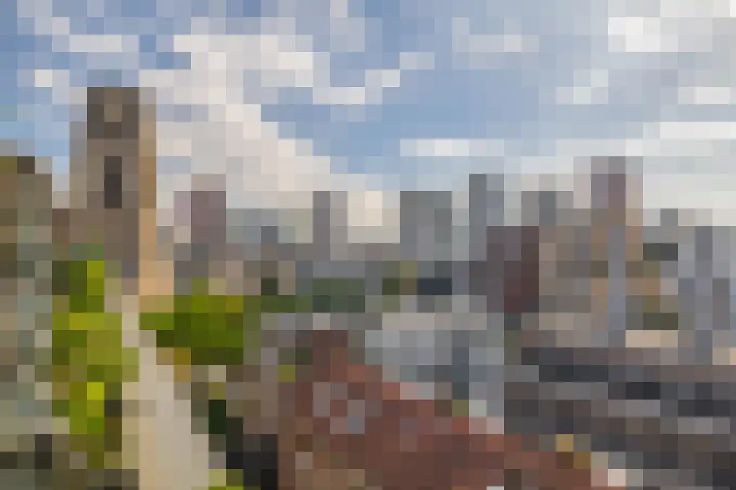 Oppert 244 Rotterdam thumbnail 7