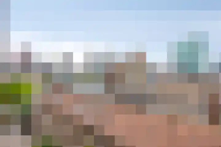 Oppert 244 Rotterdam thumbnail 8