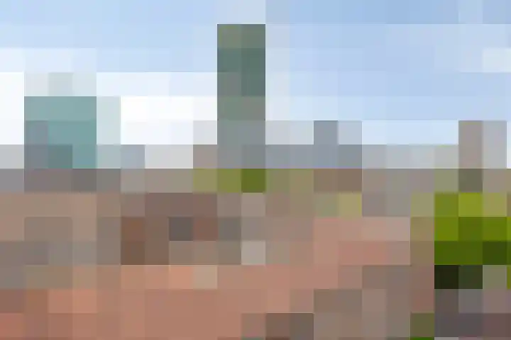 Oppert 244 Rotterdam thumbnail 9