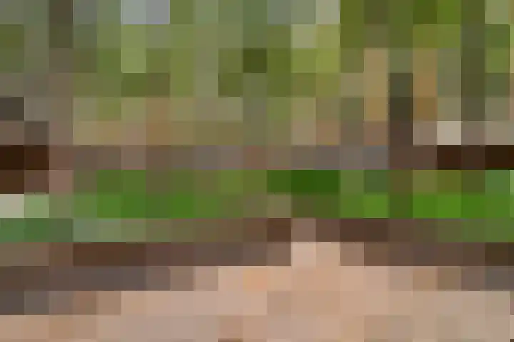 Oppert 252 Rotterdam thumbnail 10