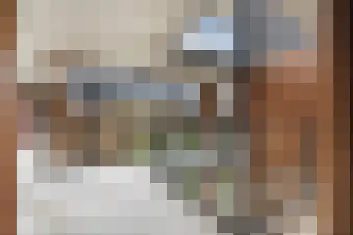 Oppert 252 Rotterdam thumbnail 16