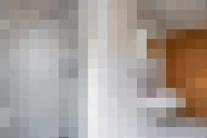 Oppert 252 Rotterdam thumbnail 20