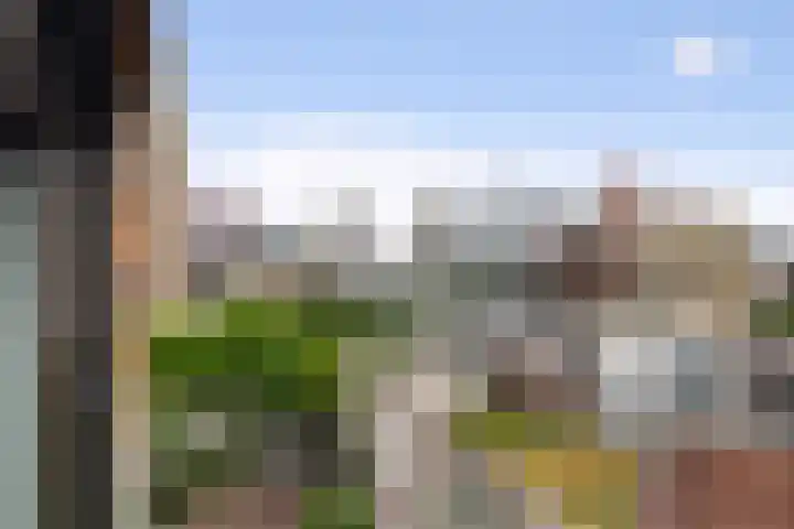 Oppert 252 Rotterdam thumbnail 35