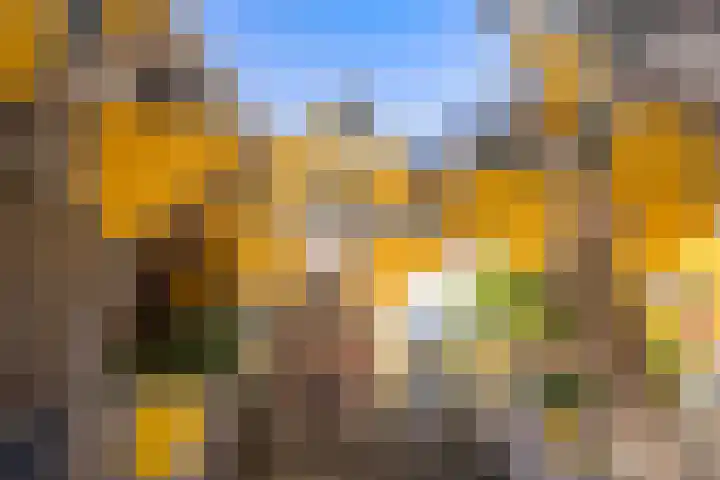 Oppert 252 Rotterdam thumbnail 50