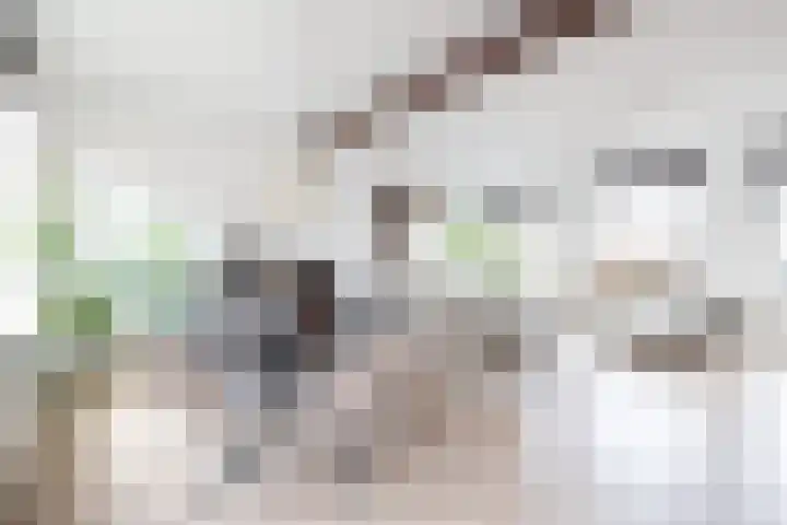 Oppert 3 C in Rotterdam