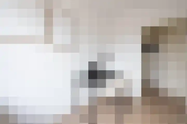Oppert 3 C Rotterdam thumbnail 15
