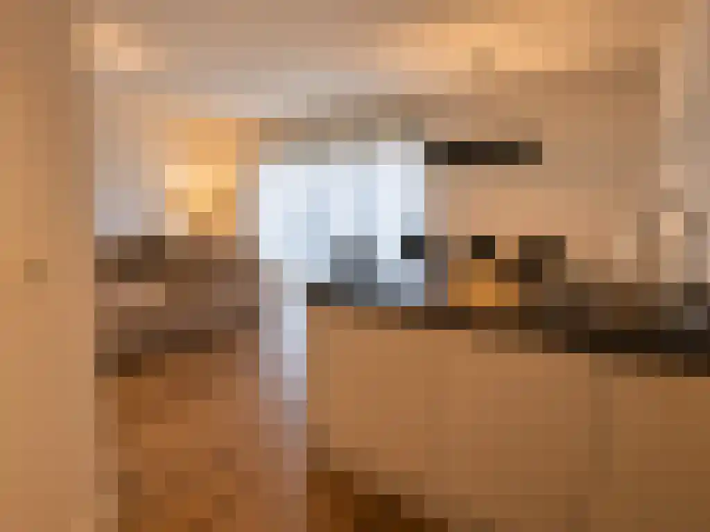 Oppert Rotterdam thumbnail 6