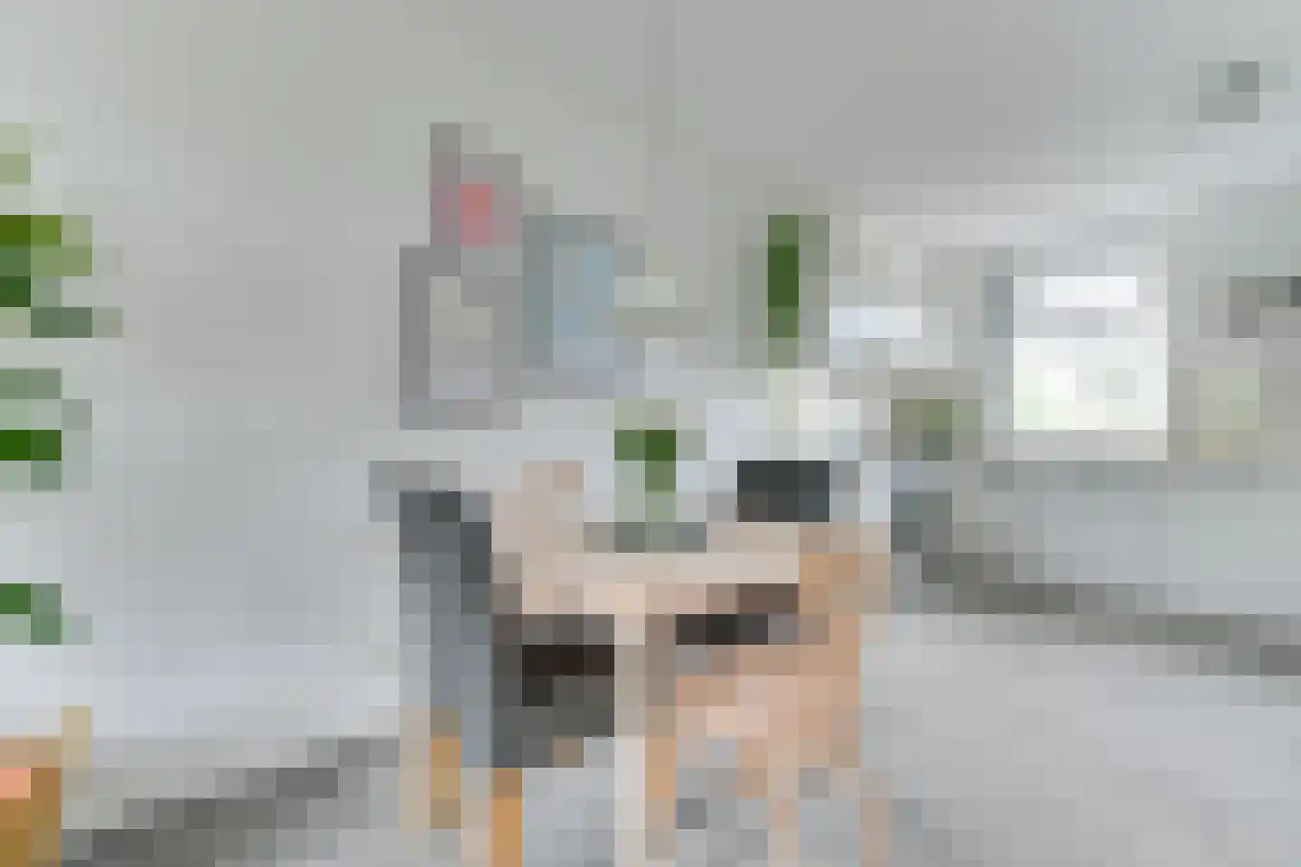 Oprijlaan 24 De Goorn thumbnail 21