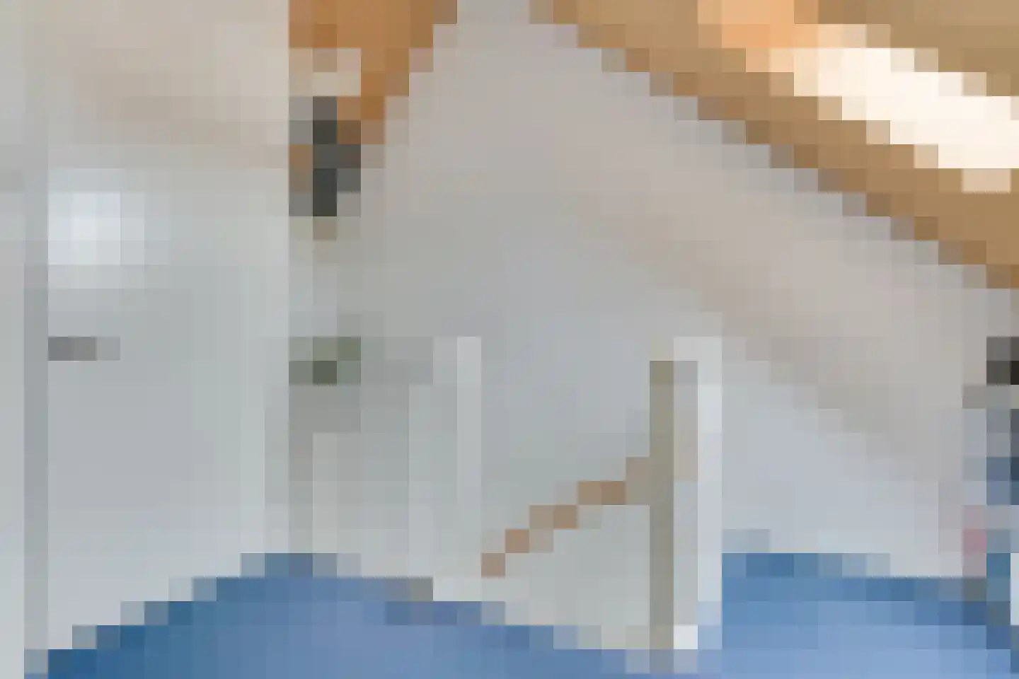 Oprijlaan 24 De Goorn thumbnail 42