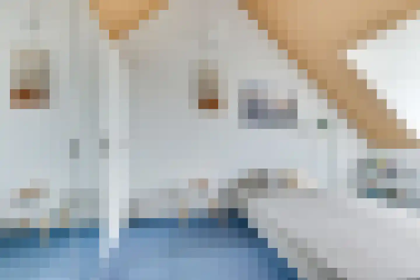 Oprijlaan 24 De Goorn thumbnail 44