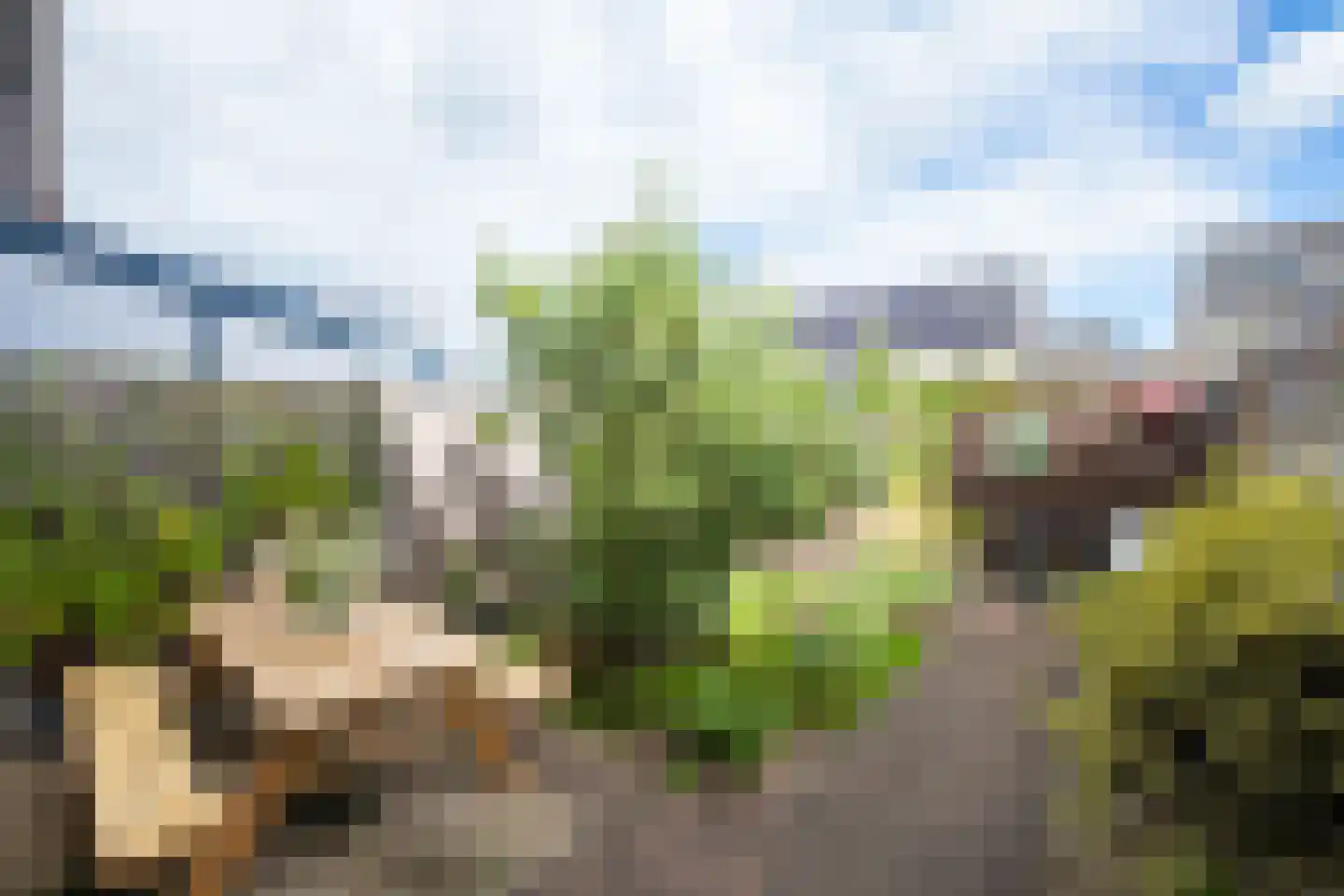Oprijlaan 24 De Goorn thumbnail 48