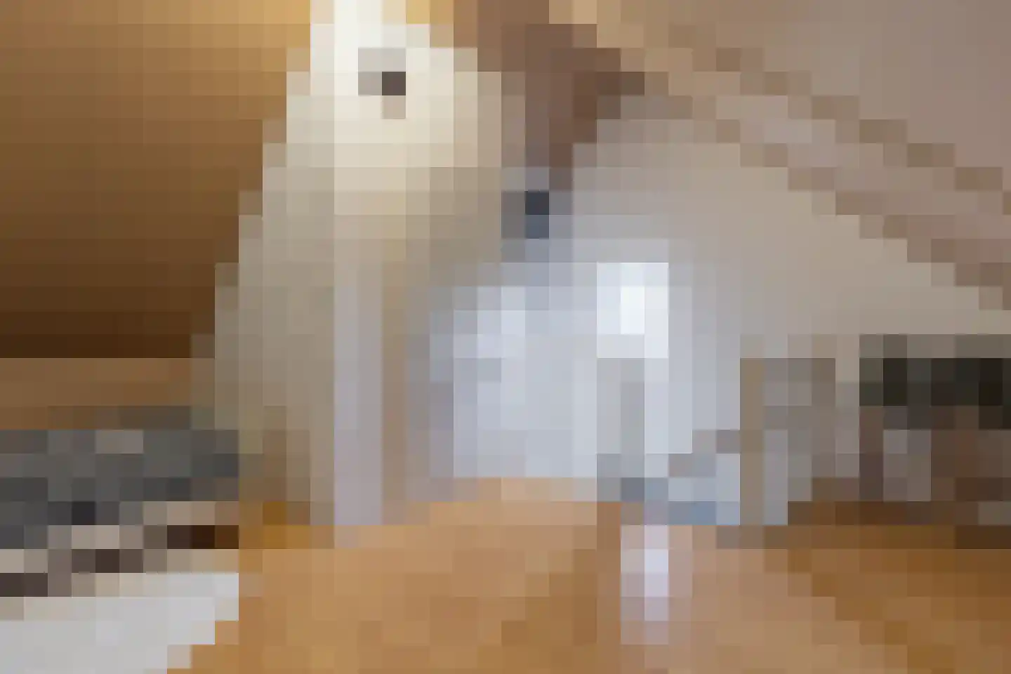 Oprijlaan 28 De Goorn thumbnail 26