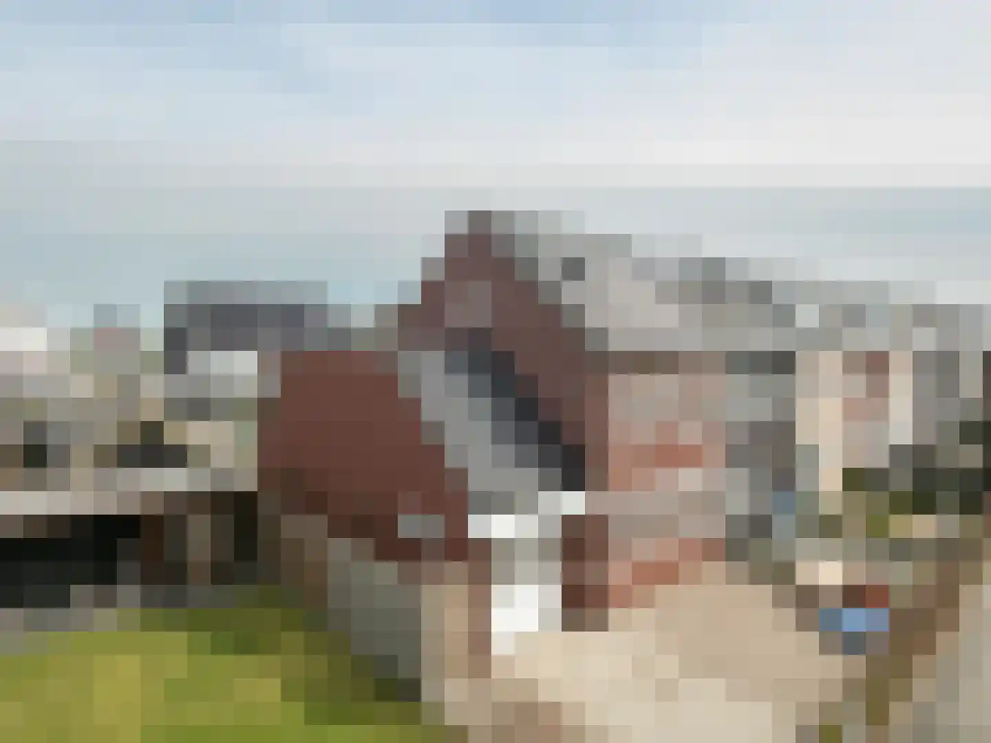 Oprijlaan 28 De Goorn thumbnail 41