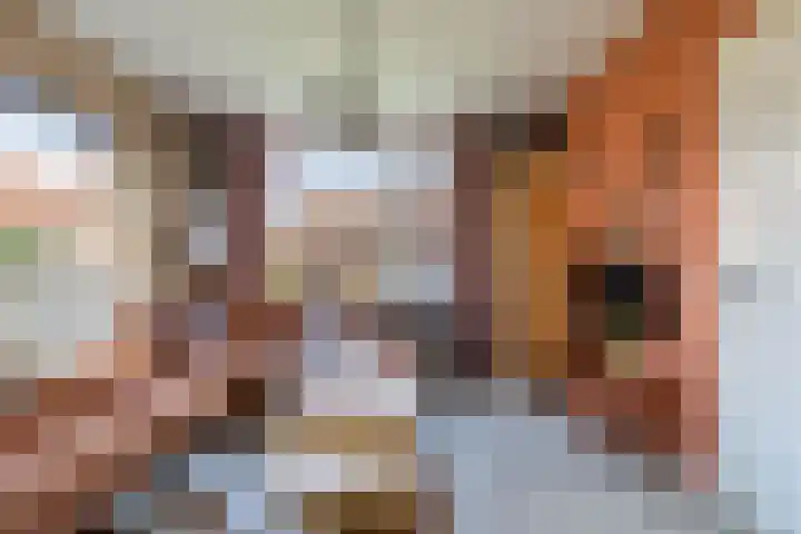 Opslach 14 Wommels thumbnail 10