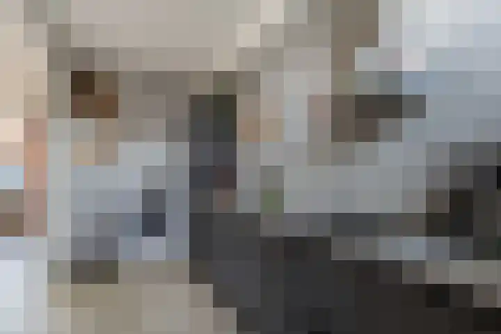 Opslach 14 Wommels thumbnail 14
