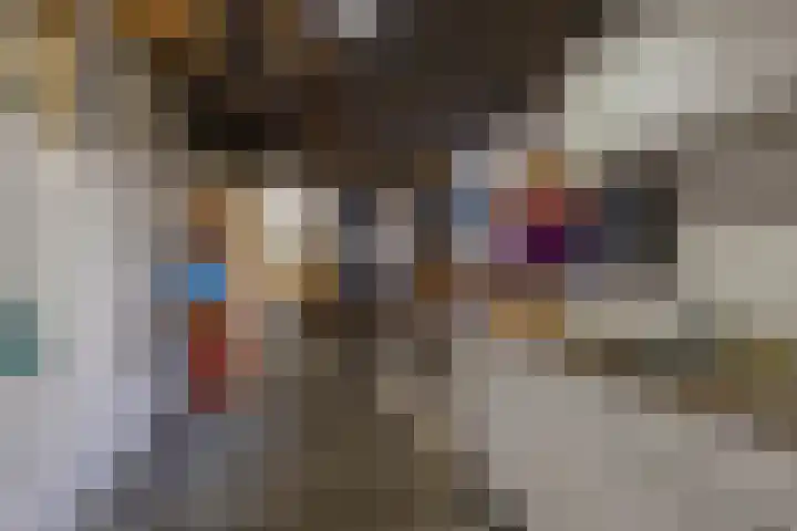 Opslach 14 Wommels thumbnail 17