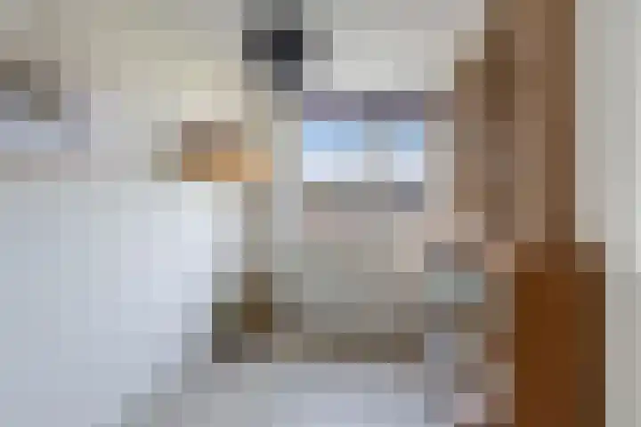 Opslach 14 Wommels thumbnail 25